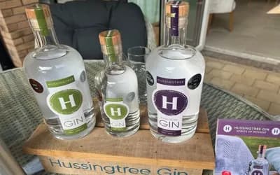 Bottles of gin 