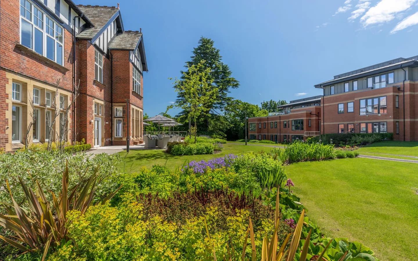 A garden with several bushes