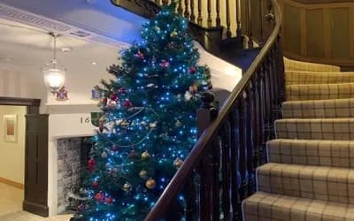 Christmas tree by a sweeping staircase