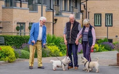 Residents walking two dogs