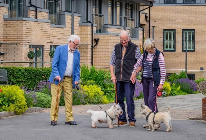 Residents walking two dogs