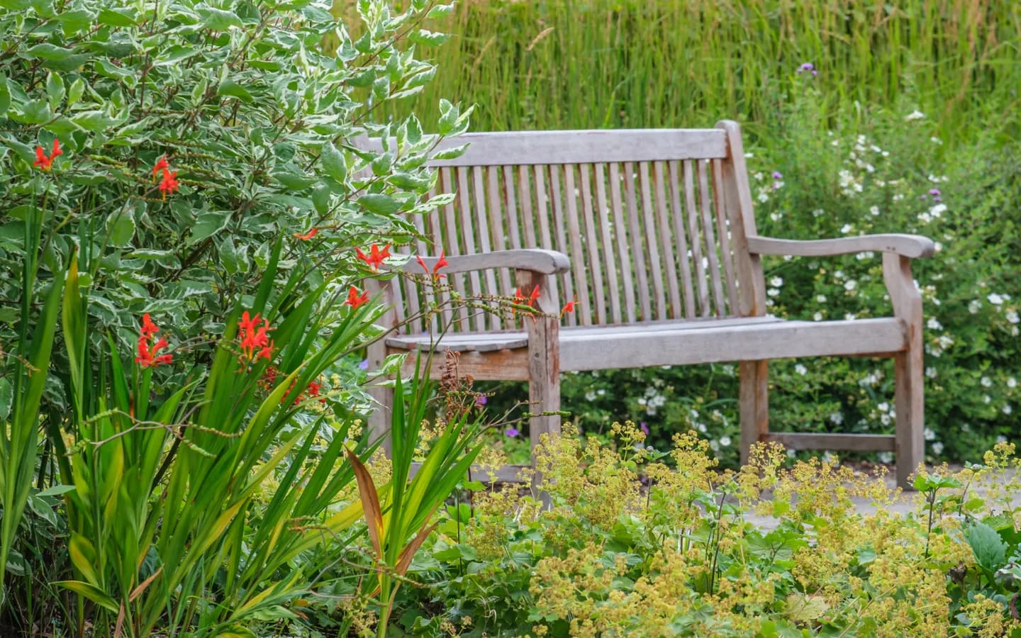 The Red House gardens with a bench